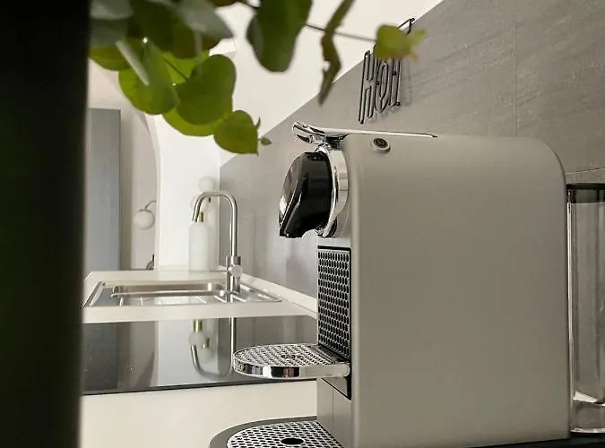Loft Pedone