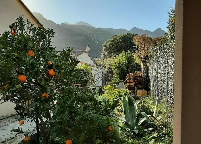 Mini Villa Marcel