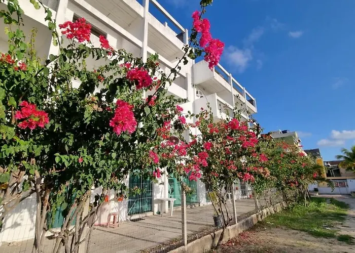 Solar Teixeira Flats