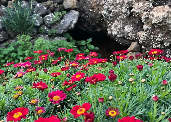Casas Del Monte II