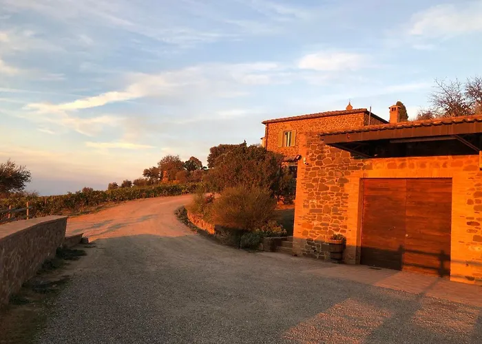 Podere Soccorso Casa Vigneto