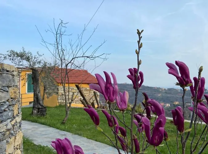 Sunrise Holiday Home