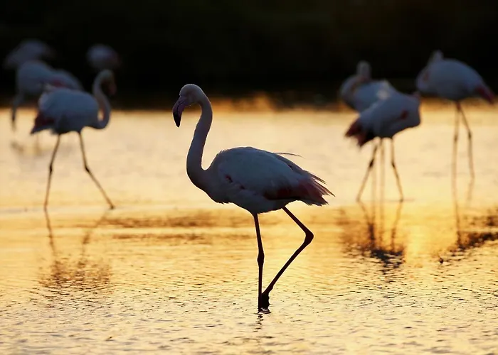 Maison Au Bord De Mer