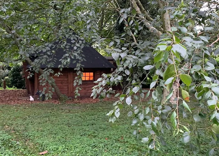 Starry Meadow & Rescued Animal Experiences