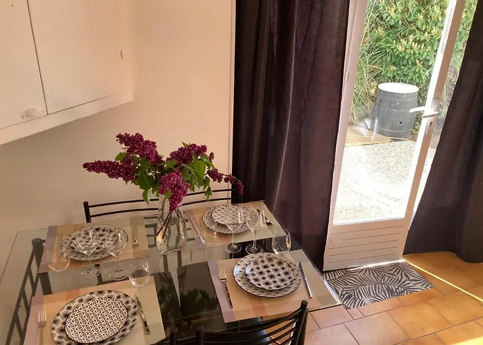 Studio Avec Grande Terrasse Et Jardin Privatif Au Pyla