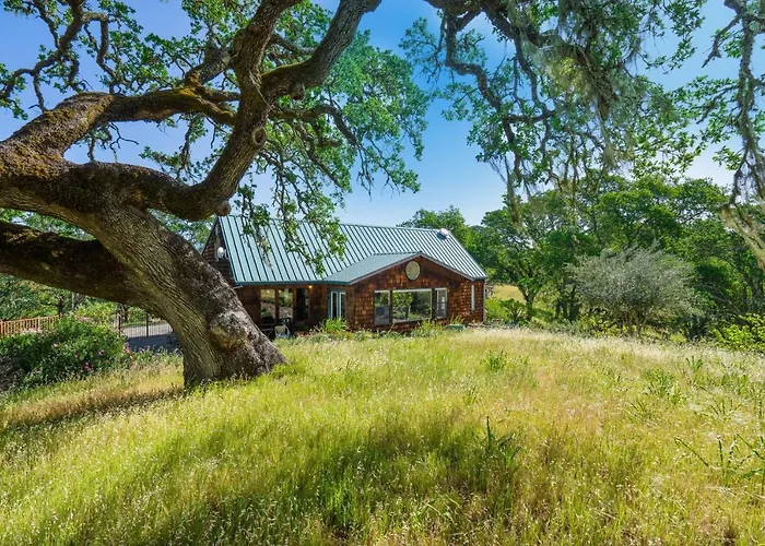 Healdsburg Home With Magnificent Vineyard View Home