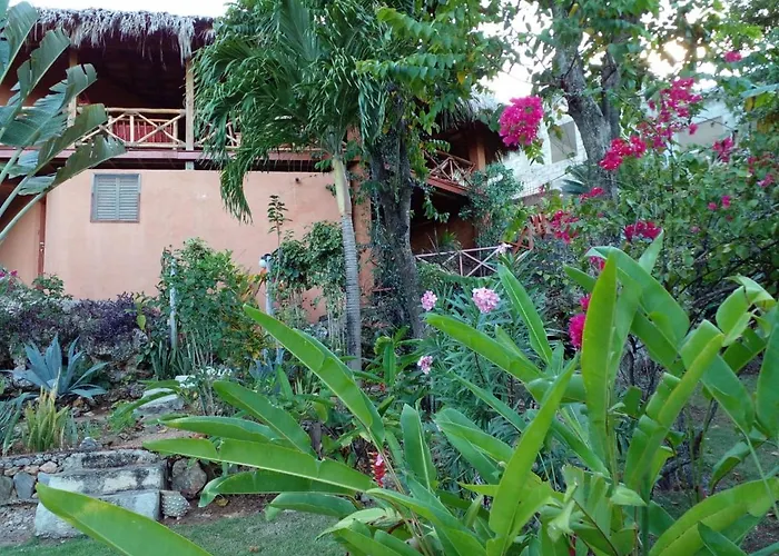 La Casa Del Arbol