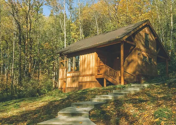 Cedar Springs Cabin - Meredith Lodging