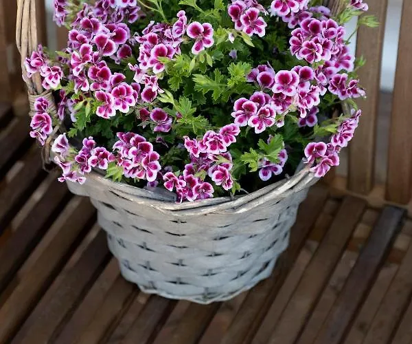 Casa Primavera