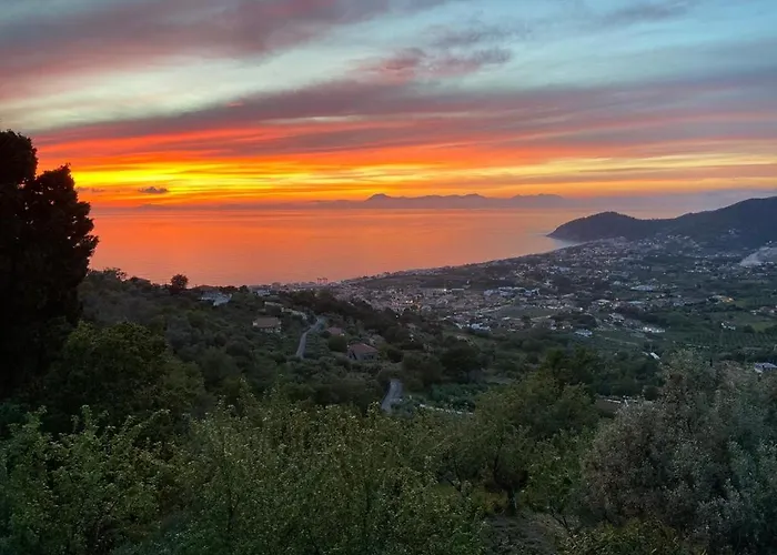Tenuta La Panoramica