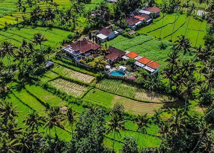 Dana Bali Ricefield Villa