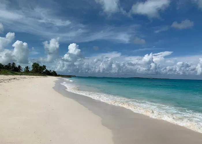 Turtles Nest Bahamas