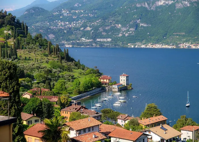 Olive Tree Lake View Apartment