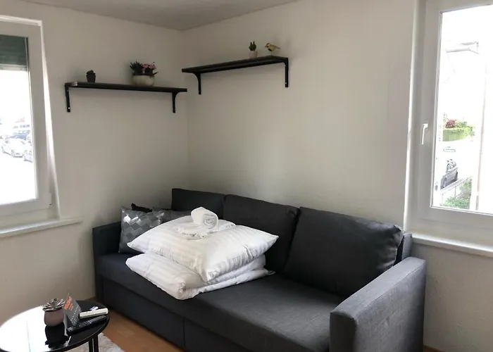 Inn Joy Apartments - Sankt Gallen Lachen