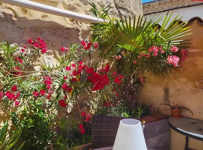 Gites Chez Daniel "Languedoc"