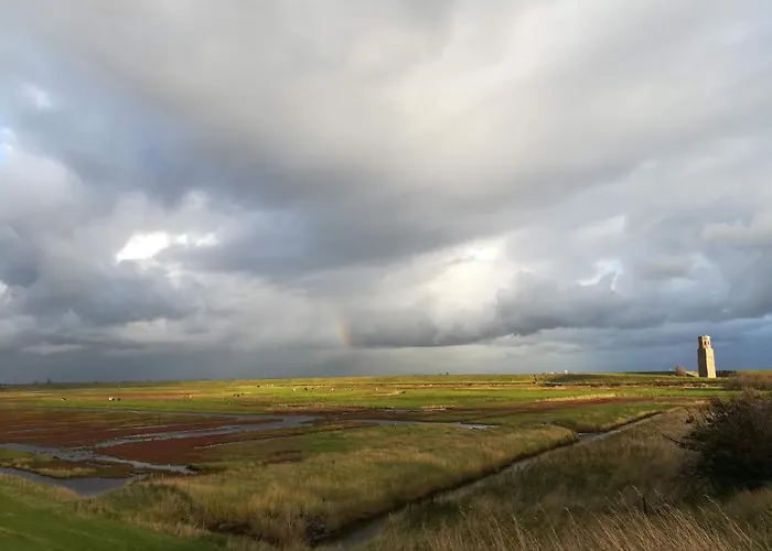 in de Boomgaard