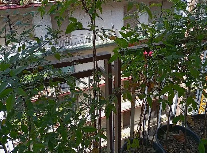 Gianna House
