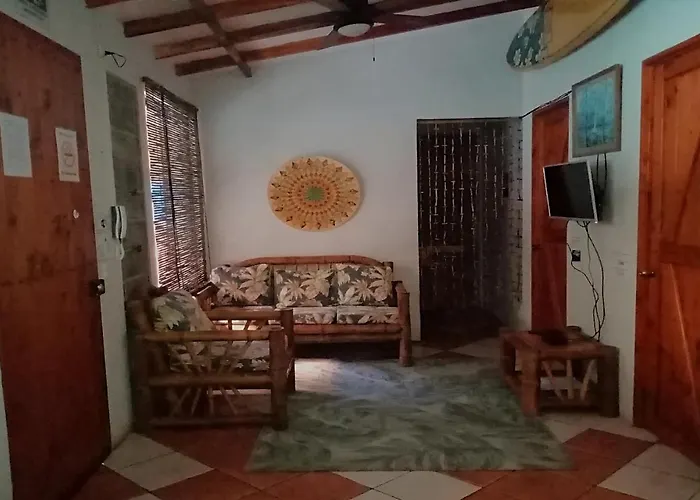 Domi Cabin