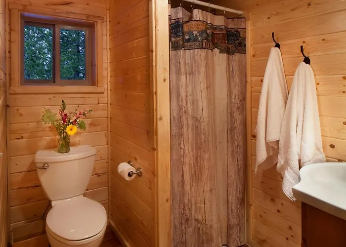 Reclusive Moose Cabins