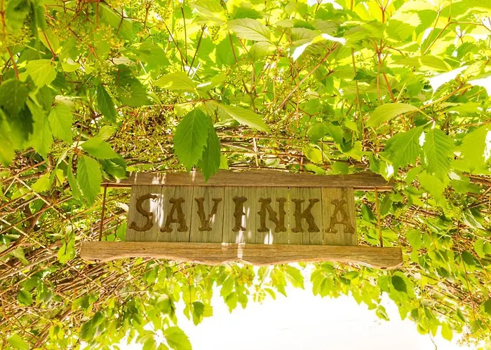 Savinka