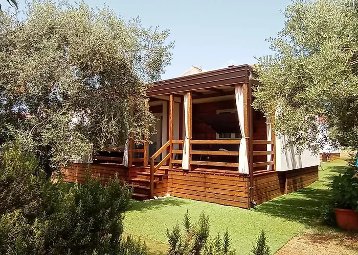 Mobile Homes Olive And Sea