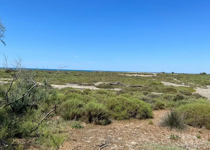 Residence L'Oiseau Des Sables