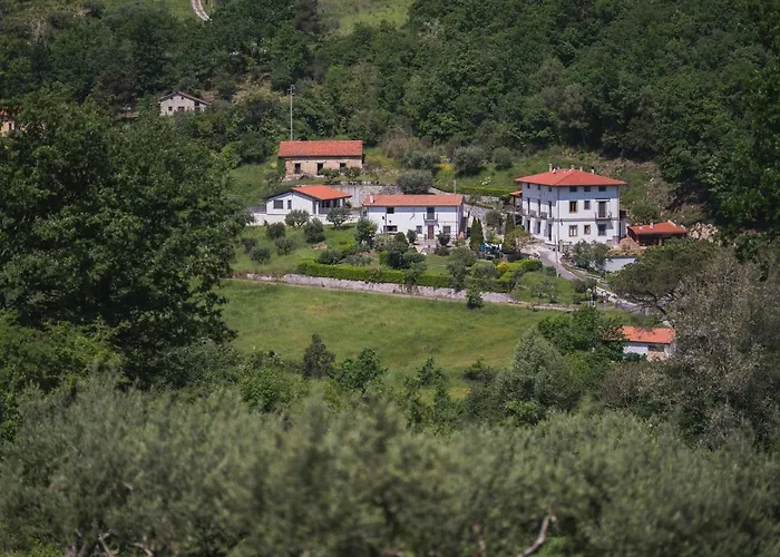Agriturismo La Valle Degli Ulivi