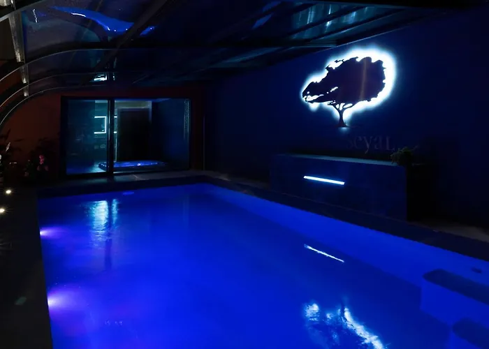 Villa Seyal - avec piscine - jacuzzi - sauna&climatisation