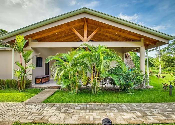 Hidden Palms