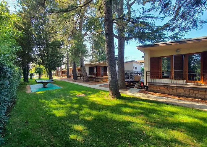 Tisa Homes