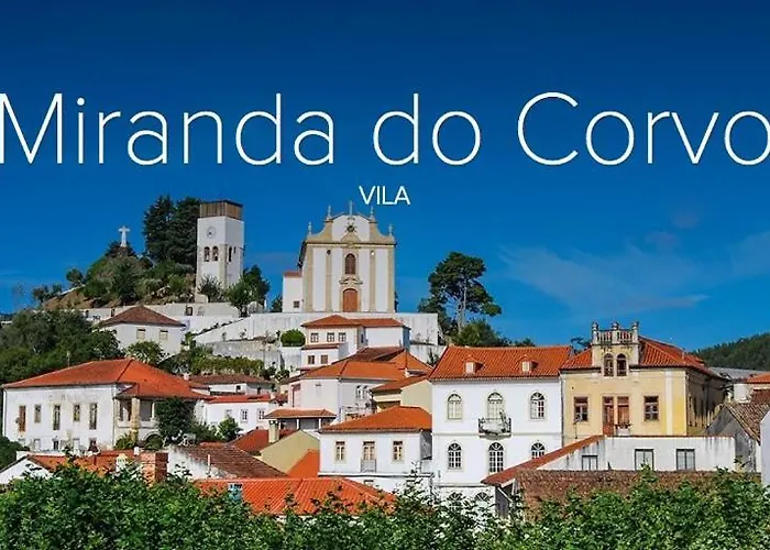 Casa Dos Copos - Drinks House