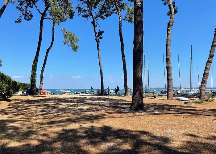 Cap Ferret - Villa Serenite - Piscine, Proche Ocean Et Bassin, Classee 4 Etoiles Meuble De Tourisme