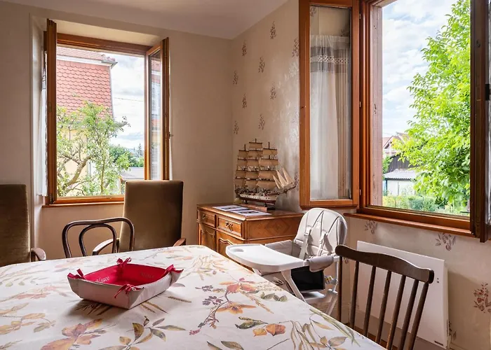 La Maison De Vacances De Colmar Et Son Jardin