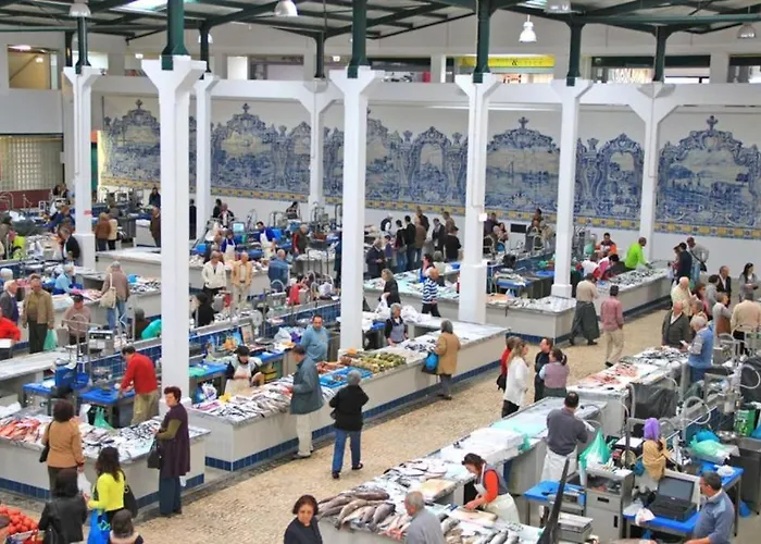 Concha Setubal Miradouro