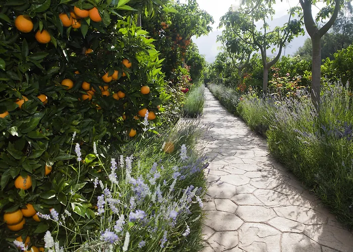 Finca Ca'S Curial - Agroturismo - Adults Only
