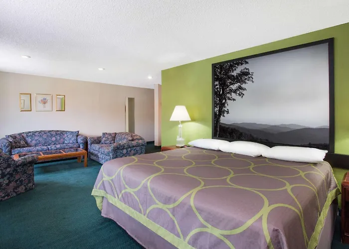Super 8 By Wyndham Salem Va