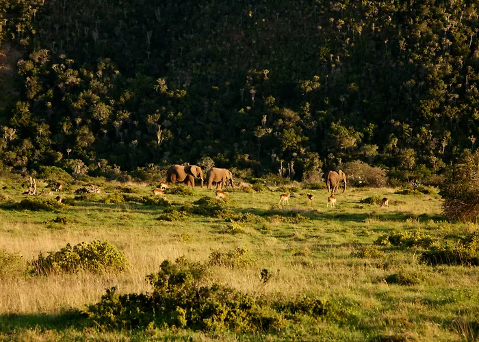 Sibuya Game Reserve And Lodge