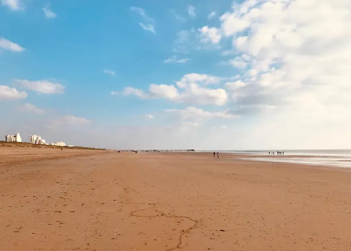 Standing Et Ocean A 50M, Appartement De L'Oasis