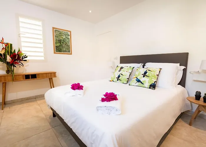 Villa Cocotier A 50 Metres De La Plage