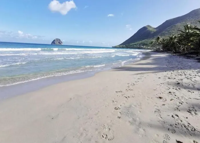 Villa Cocotier A 50 Metres De La Plage