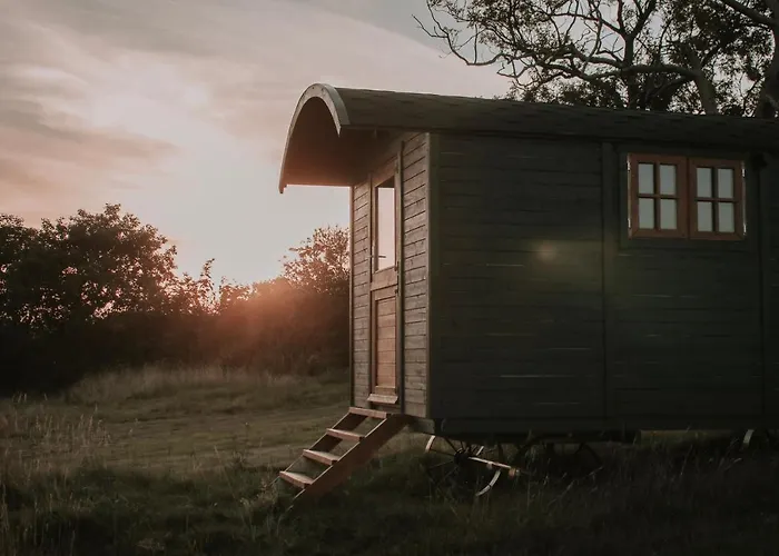 Stunning Shepherd'S Hut Retreat North Devon
