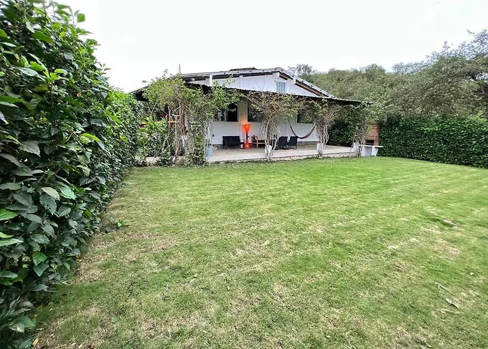 Olon Cabin