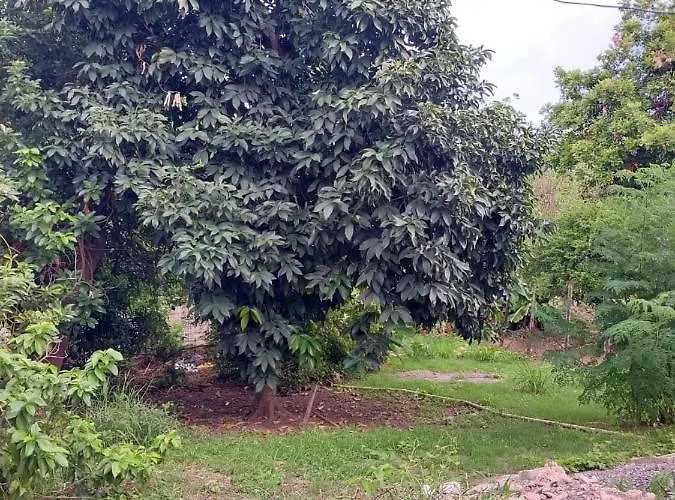 Granann'S Place