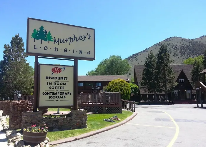 Murphey'S Motel Llc