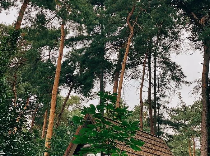 Mimi'S Natuurhuisje