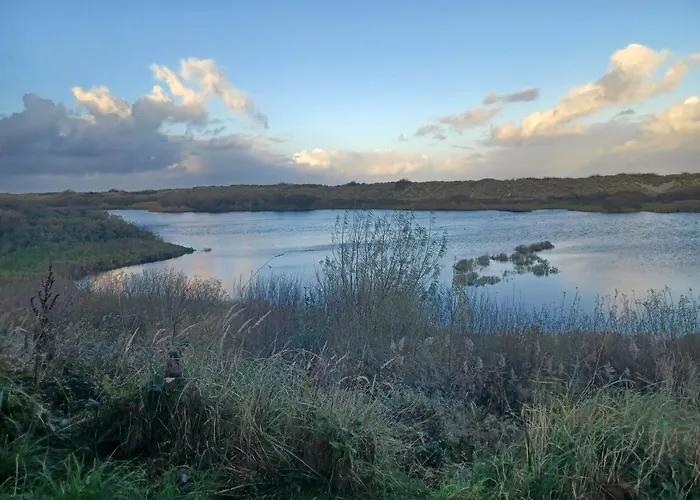 Chalet duunzicht Texel