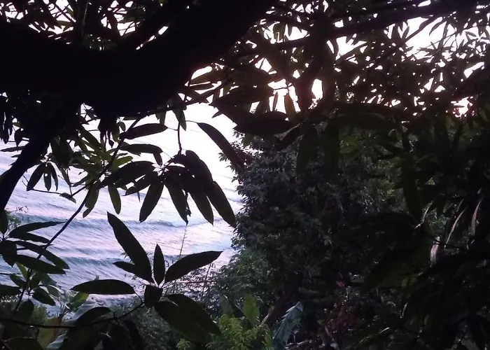 Treehouse Above The Beach