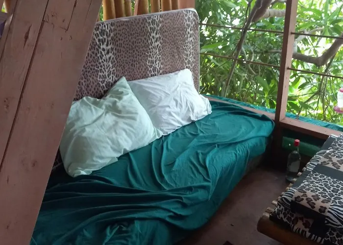 Treehouse Above The Beach