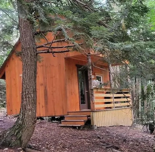 Vana Kuti-Cabin In The Woods
