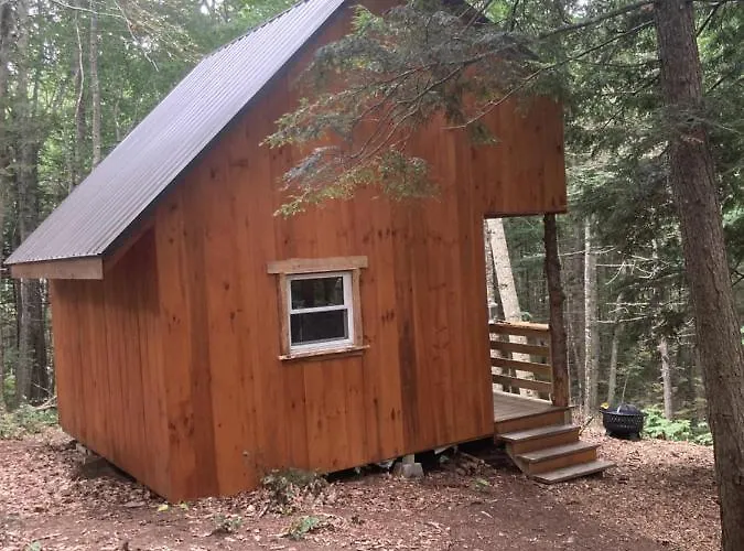 Vana Kuti-Cabin In The Woods